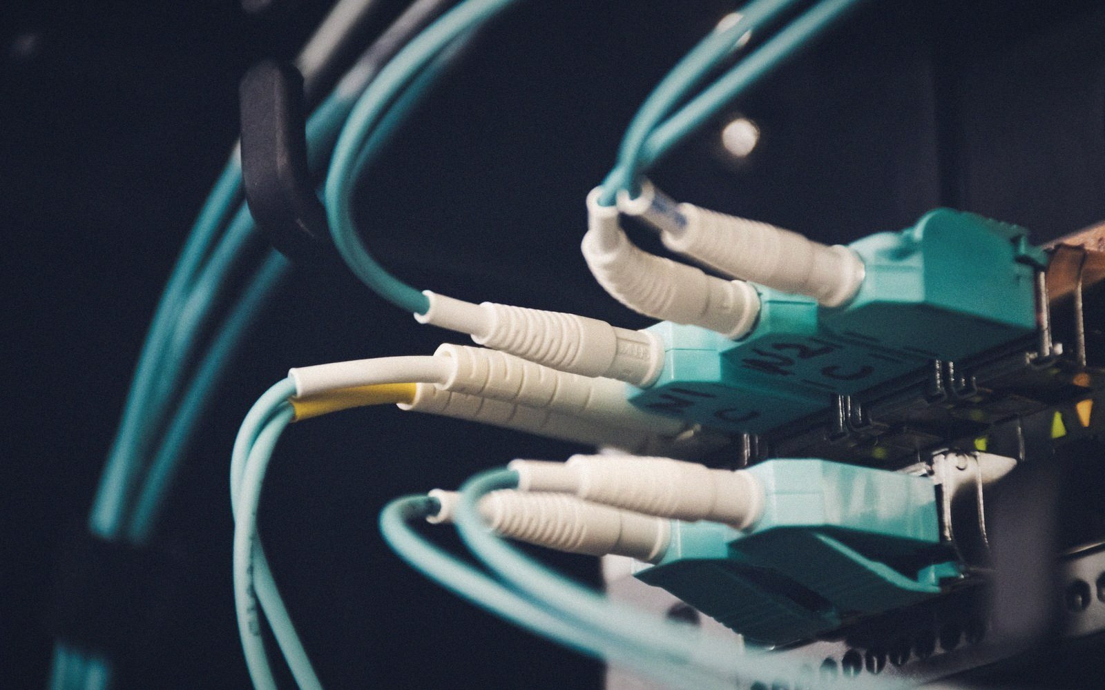 Fiber optic cables with LC connectors plugged into a network patch panel