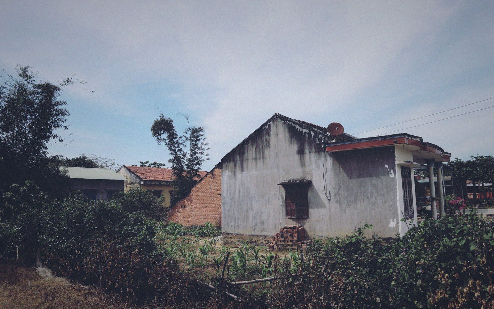 Weathered rural house with a satellite dish on its tiled roof, surrounded by overgrown vegetation
