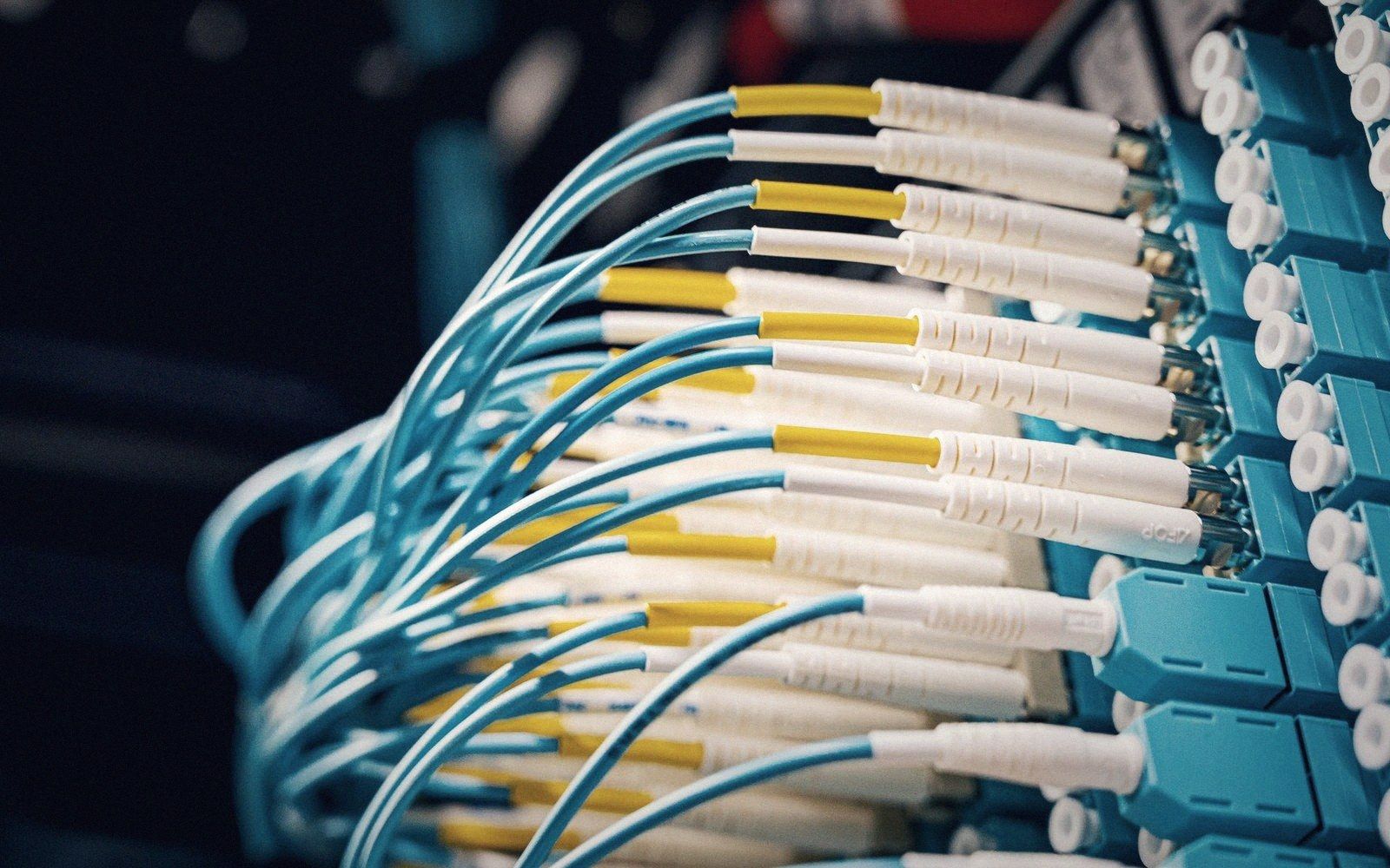 Fiber optic cables with connectors plugged into a network patch panel